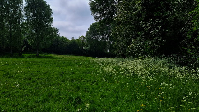 Stadsnatuurfestival