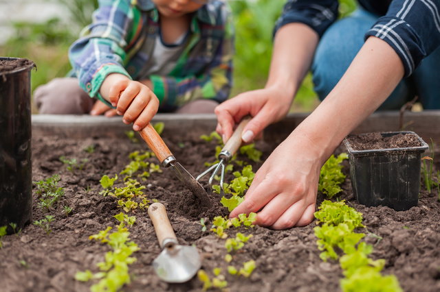Vanuit de ROEG! Hoek: Lezing Mooi moestuinieren
