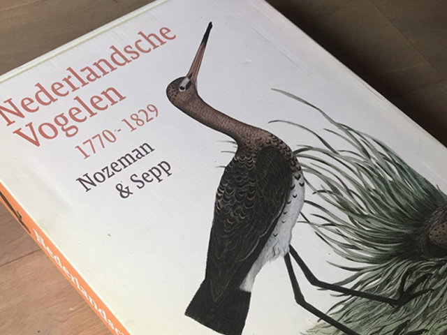 UITGELICHT! - Nederlandse Vogelen