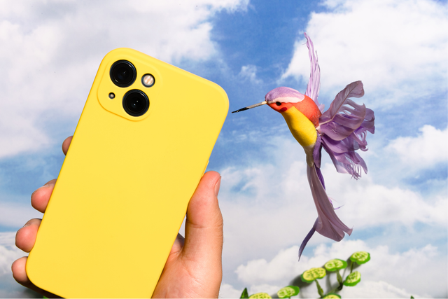 Digitaal Café: Welke apps kunnen je helpen bij de determinatie van planten en vogels?