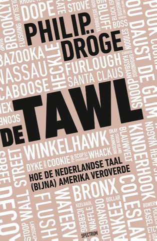 Zin in Zondag: lezing Philip Dröge over "De Tawl"