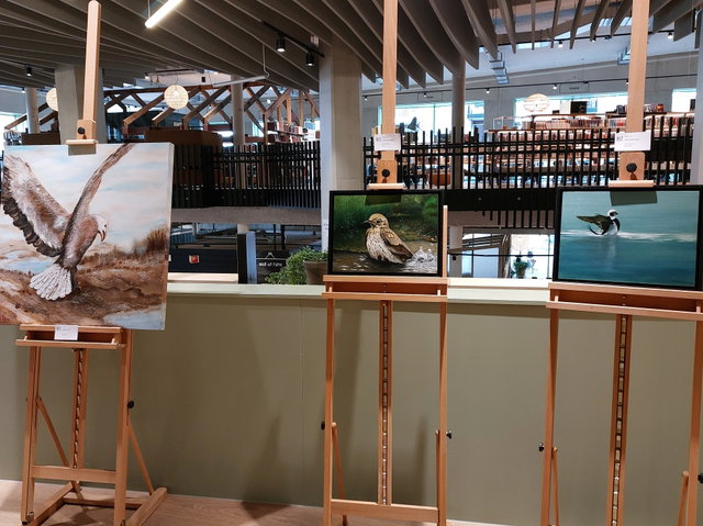 Expositie Galerie Alphen Art