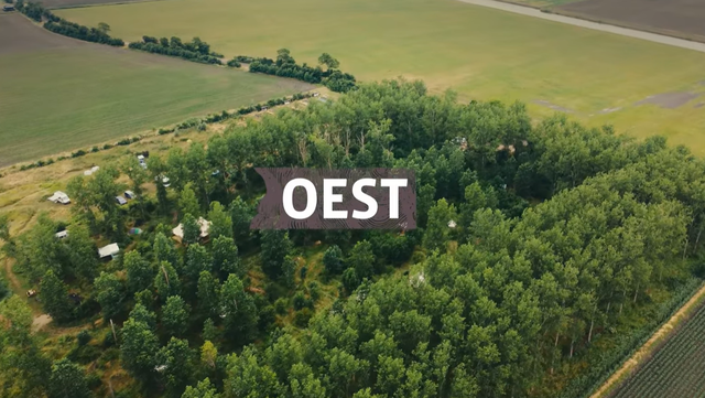 Filmvertoning 'Oest'