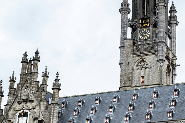 Stadswandeling met een ecoloog