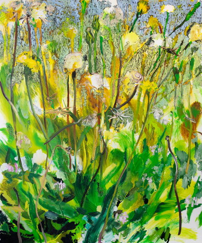 Lezing: De natuur als inspiratiebron voor kunstenaars