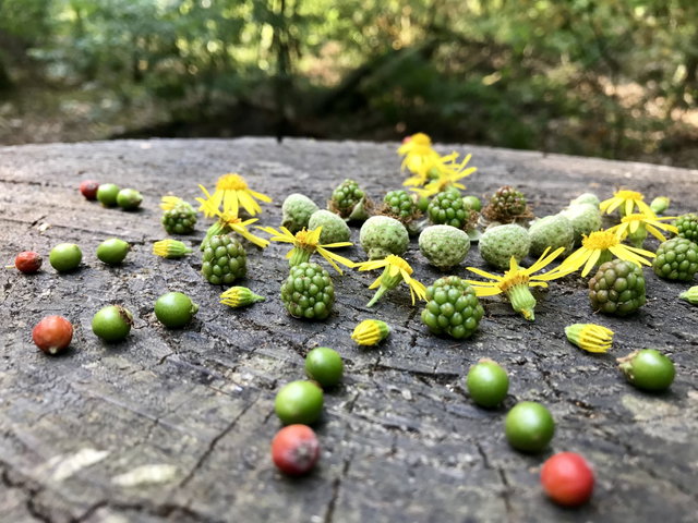 Workshop: Ik mis dus ik maak een...'mandala walk'