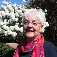 In gesprek met schrijfster Evelyn Grijze