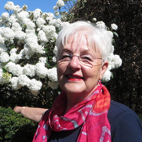 In gesprek met schrijfster Evelyn Grijze
