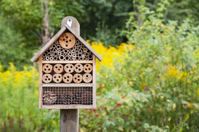 GroenMakers: Maak een insectenhotel!