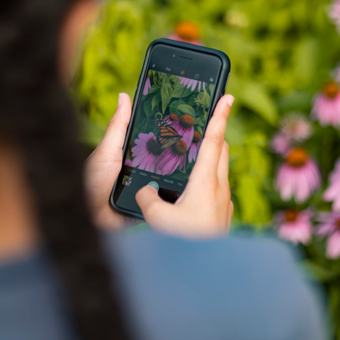 Met apps de natuur ontdekken