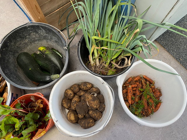 Lezing: Moestuinieren