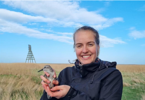 IVN Kinderlezing over de Waddenzee