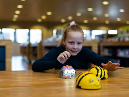 Bee-Bots programmeren