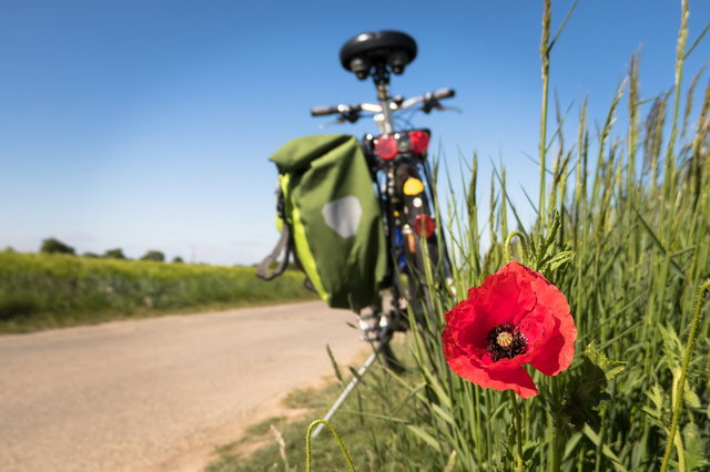 Themabijeenkomst Digicafe: Gebruik van fietsroute apps