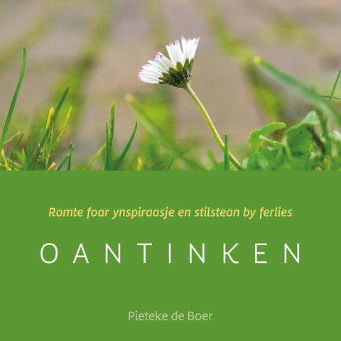 Bondelpresintaasje Oantinken / Presentatie Oantinken 24-05-2024 16:30