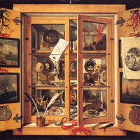 De Wunderkammer