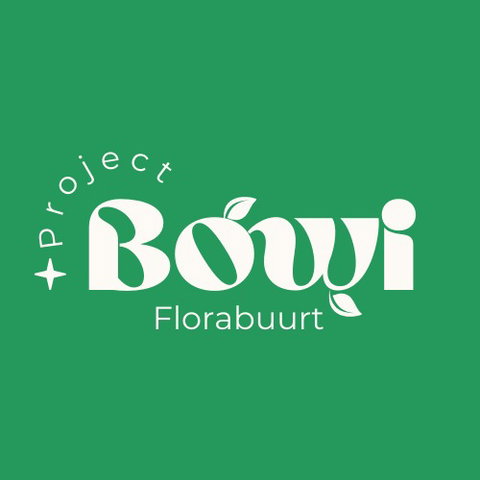 Project Bowi