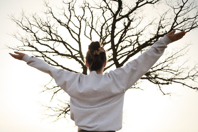 Tai Chi Qigong
