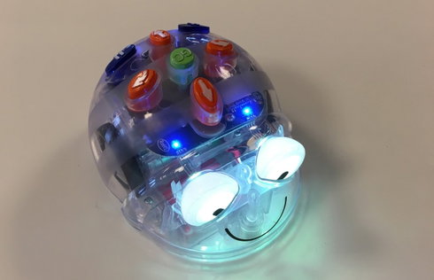 Leskist Bluebot