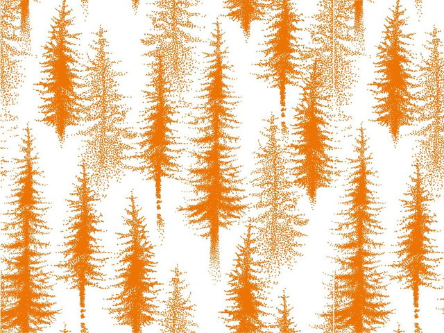 Leskist groep 1/2/3: Het bos in