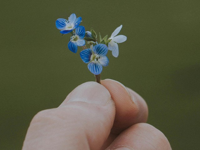 Natuurwandeling Dementie Vriendelijk Oirschot