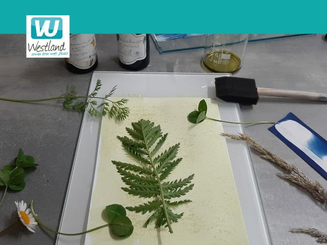 Workshop Blauwdrukken