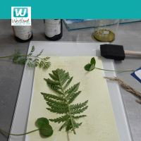 Workshop Blauwdrukken