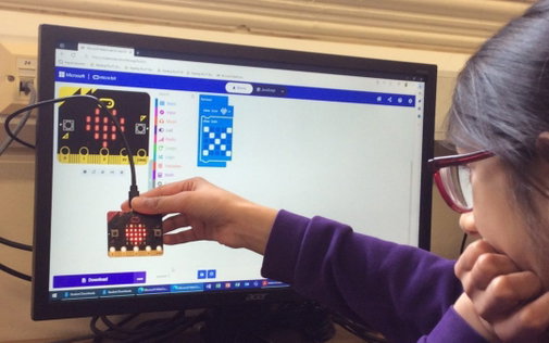 Programmeren met de Micro:bit