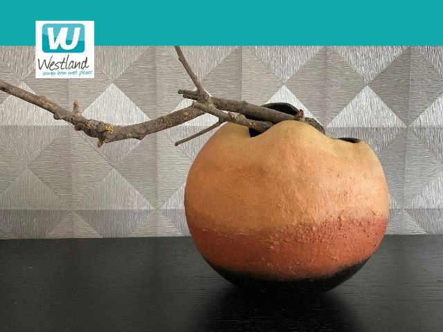 Lente cursus Keramiek