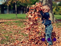 Herfst - Een collectie prentenboeken