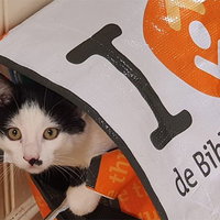 Dierendag Speurtocht in de Bibliotheek