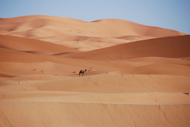 Kindercollege Curiosity World 19-03-2025 15:00