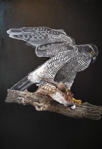 Expositie: Bloemen - vogels - stadsgezichten 01-04-2024 
