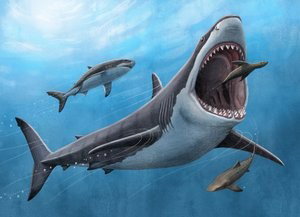 Jaws in het kwadraat