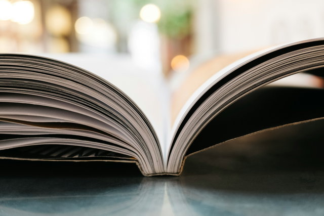 Cursus Het Pieck: Literatuurbeschouwing