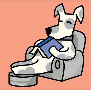 Makkelijk lezen - groep 5-6 (VOLGEBOEKT)