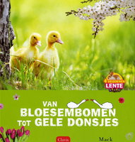 Lente