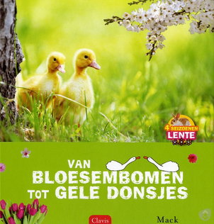 Lente