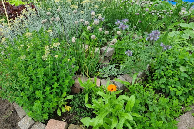 Workshop: De eetbare tuin