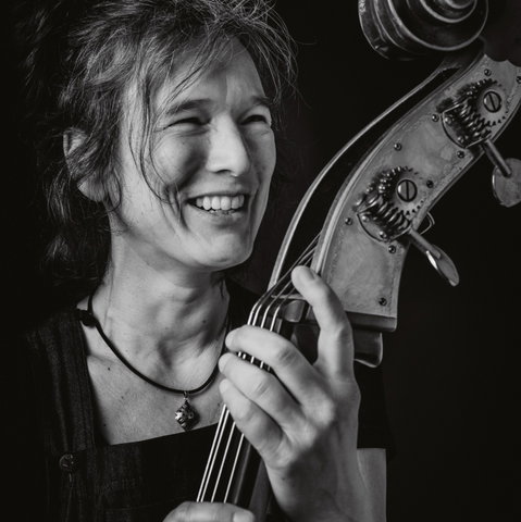 Silvia Fledderus - D'Oale Folklaidjes