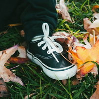 Groei & Bloei - Herfst