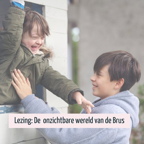 Lezing: De onzichtbare wereld van de Brus
