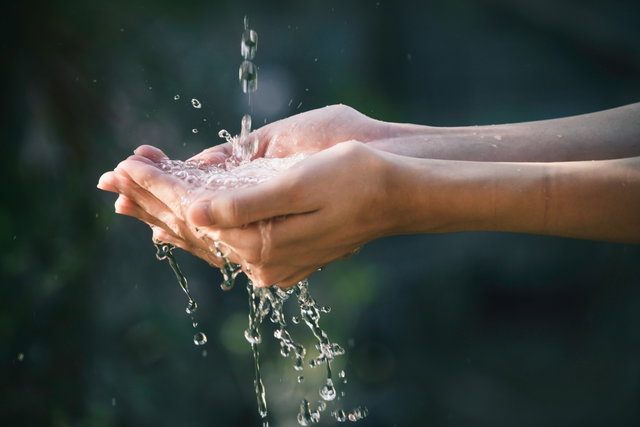 Excursie: Ontdek in Meijendel waar ons drinkwater vandaan komt