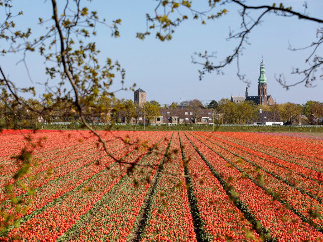 Politiek Café Lisse 18-03-2025 19:30
