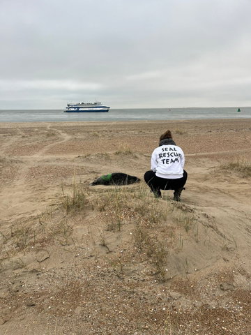 Koffie met...de zeehondenwachter | Vlieland