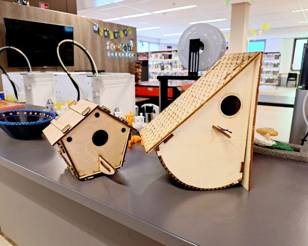 MakerLab: Bouw een vogelhuisje (8+)