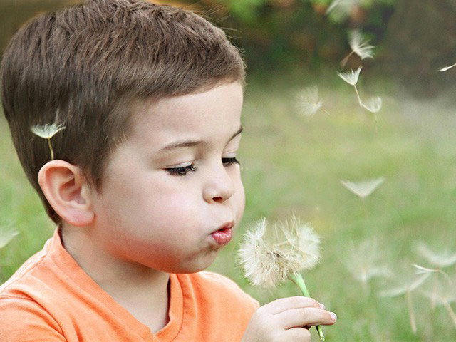Tovertuin: Omarm het avontuur & Voel de natuur 04-05-2025 15:00