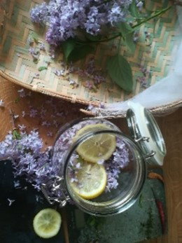 Kruidenwandeling en workshop