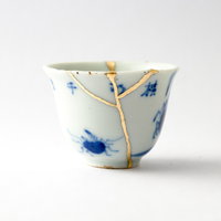 De kunst van Kintsugi