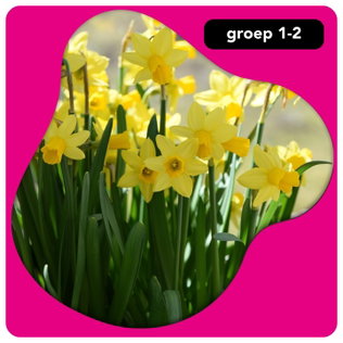 Onderbouw: lente